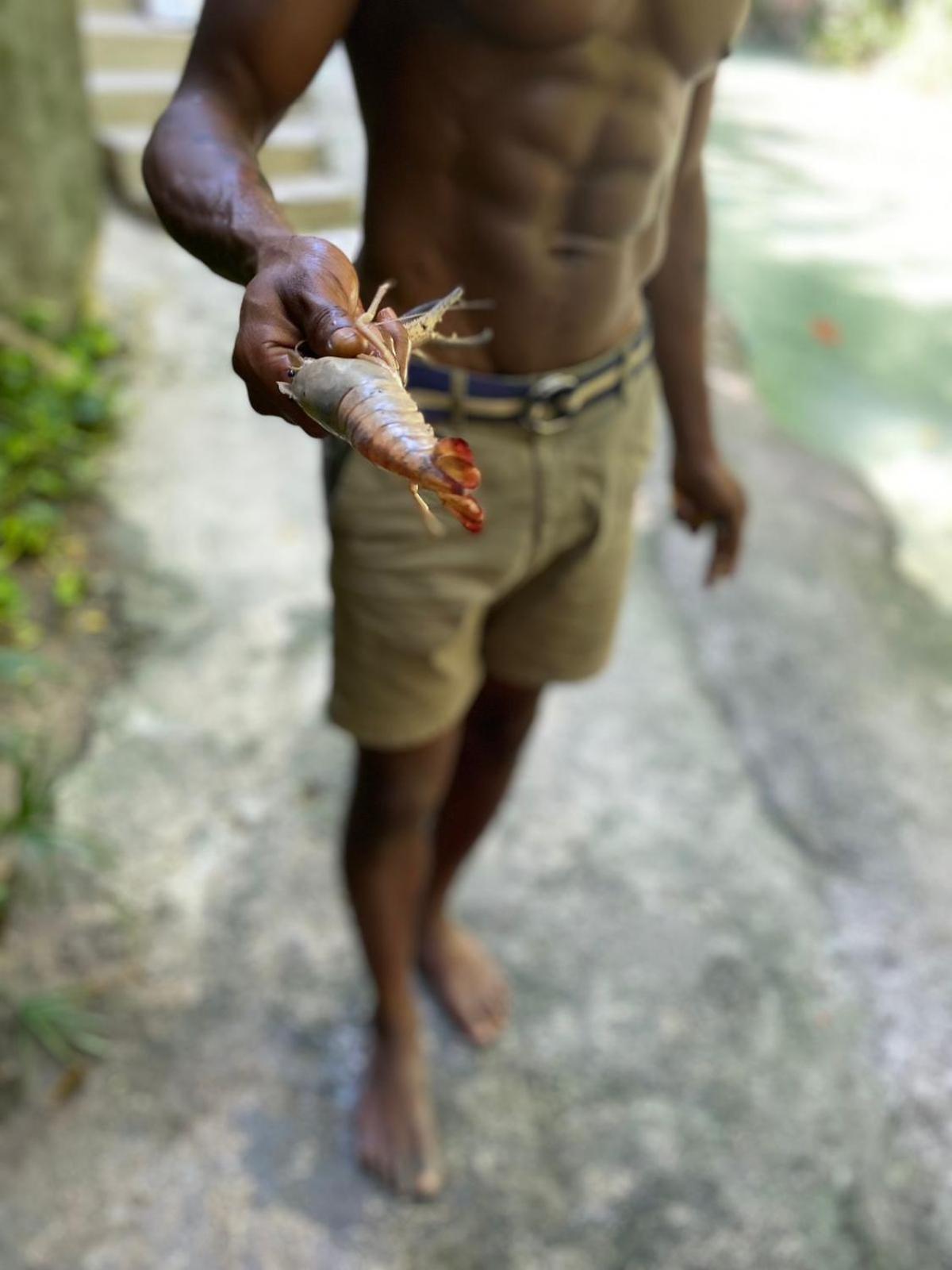 Apartmán Idilio Escape Ocho Rios Exteriér fotografie